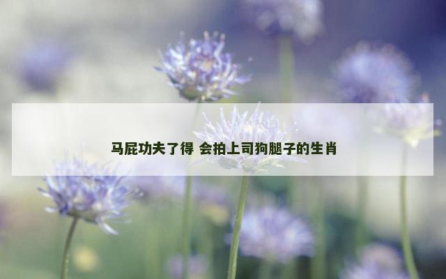 马屁功夫了得 会拍上司狗腿子的生肖