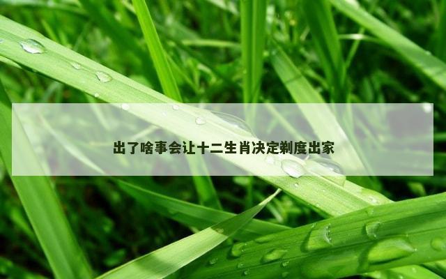 出了啥事会让十二生肖决定剃度出家