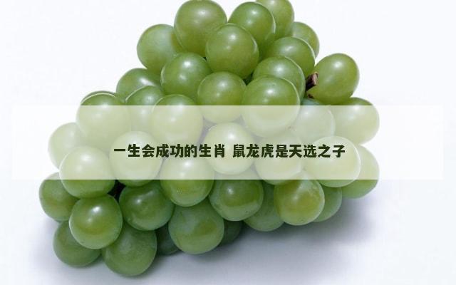 一生会成功的生肖 鼠龙虎是天选之子