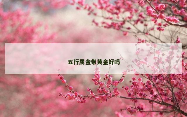 五行属金带黄金好吗