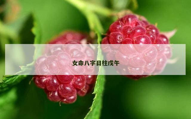 女命八字日柱戊午