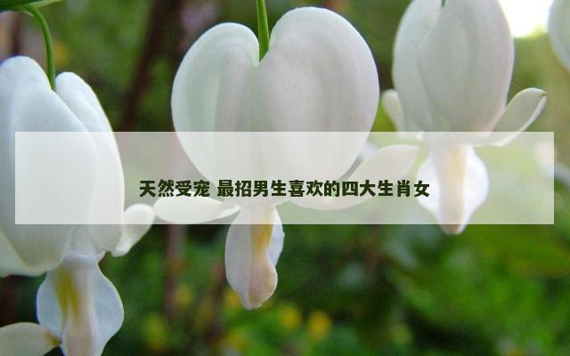 天然受宠 最招男生喜欢的四大生肖女