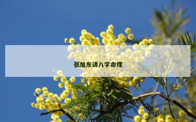 张旭东讲八字命理