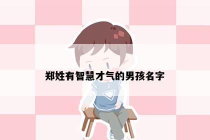 郑姓有智慧才气的男孩名字