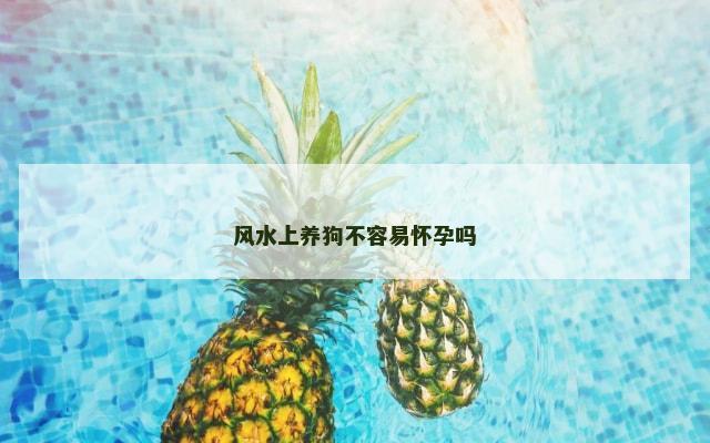风水上养狗不容易怀孕吗