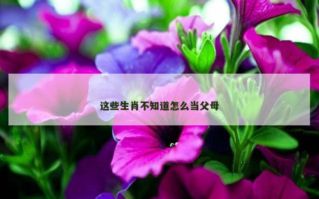 这些生肖不知道怎么当父母