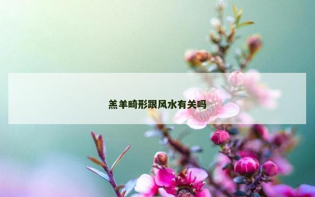 羔羊畸形跟风水有关吗