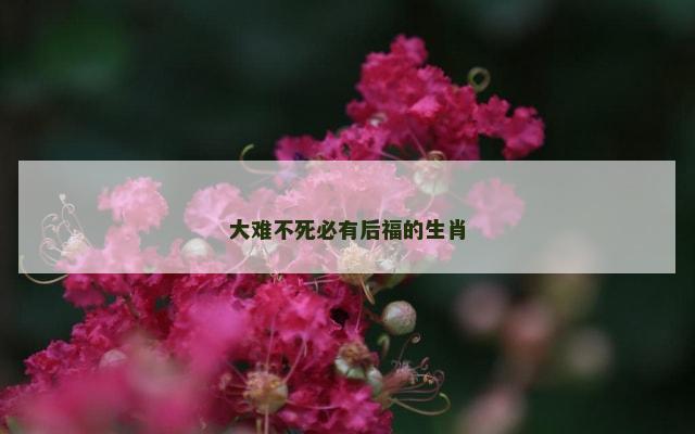 大难不死必有后福的生肖