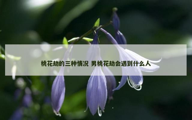 桃花劫的三种情况 男桃花劫会遇到什么人