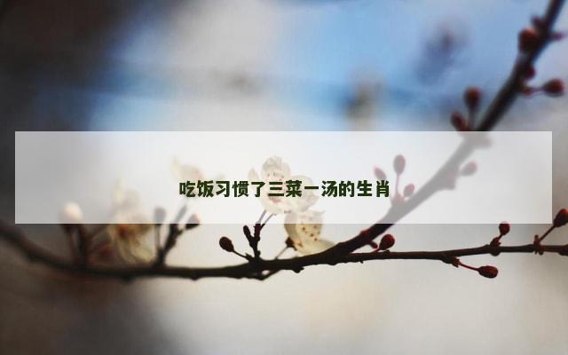 吃饭习惯了三菜一汤的生肖