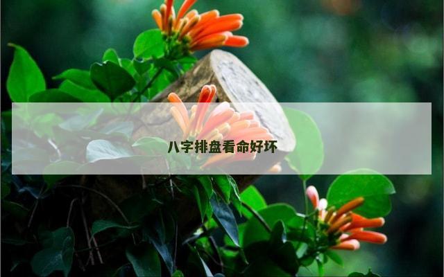 八字排盘看命好坏