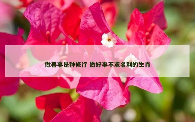 做善事是种修行 做好事不求名利的生肖