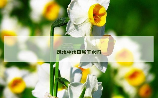 风水中水田属于水吗