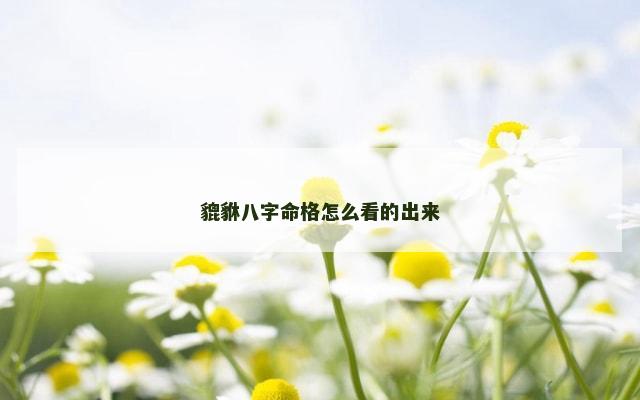 貔貅八字命格怎么看的出来