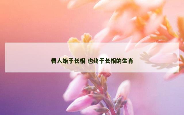 看人始于长相 也终于长相的生肖