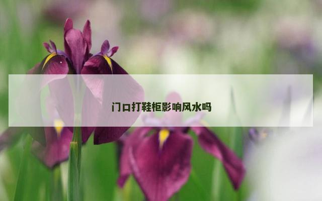 门口打鞋柜影响风水吗