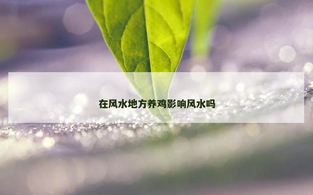 在风水地方养鸡影响风水吗