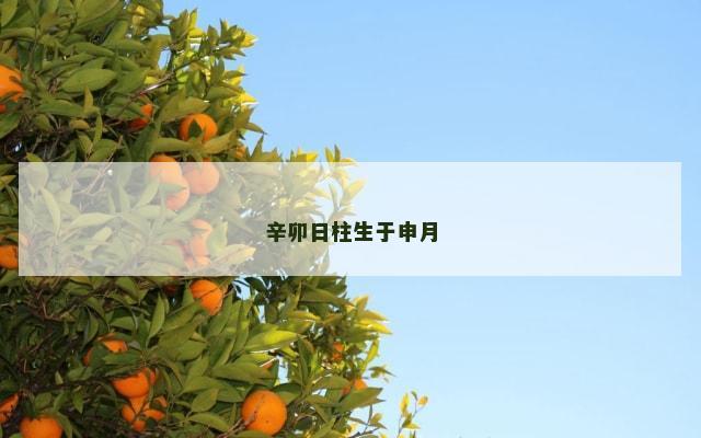 辛卯日柱生于申月