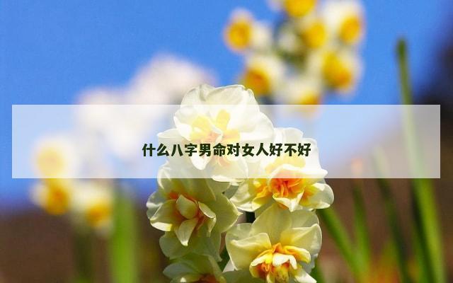 什么八字男命对女人好不好