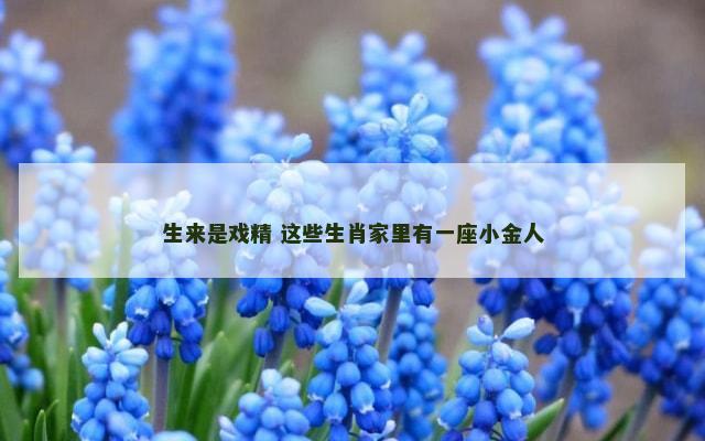 生来是戏精 这些生肖家里有一座小金人