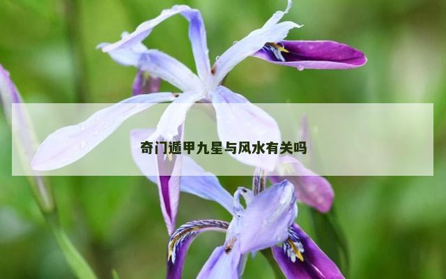 奇门遁甲九星与风水有关吗