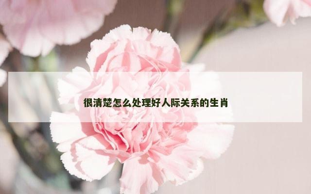 很清楚怎么处理好人际关系的生肖