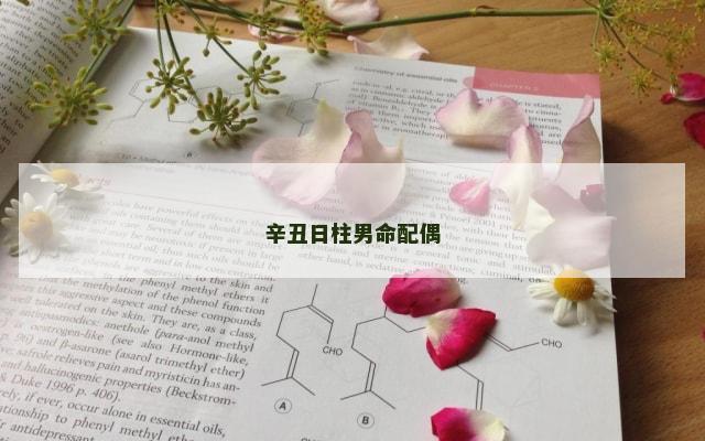 辛丑日柱男命配偶