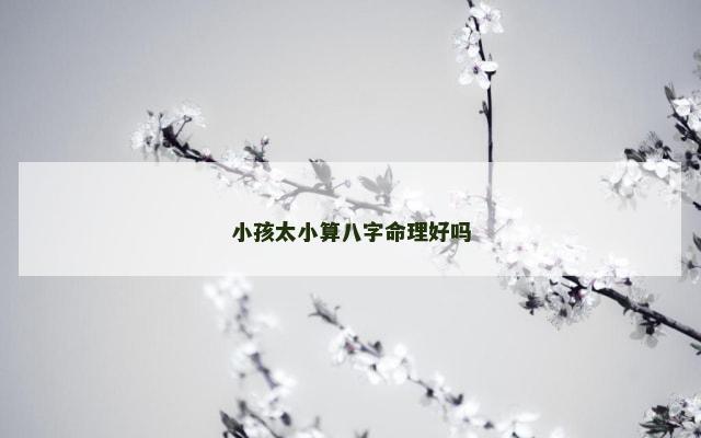 小孩太小算八字命理好吗
