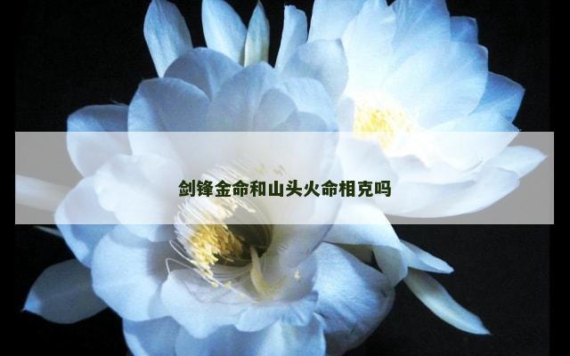 剑锋金命和山头火命相克吗