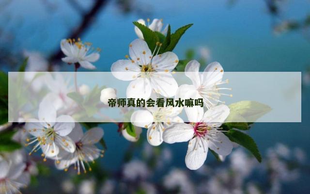 帝师真的会看风水嘛吗