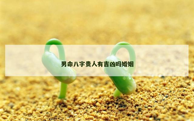 男命八字贵人有吉凶吗婚姻