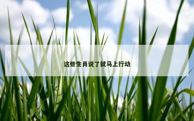 这些生肖说了就马上行动