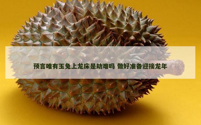 预言唯有玉兔上龙床是劫难吗 做好准备迎接龙年