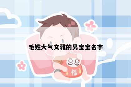 毛姓大气文雅的男宝宝名字