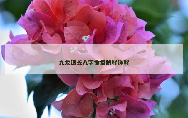 九龙道长八字命盘解释详解