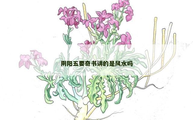 阴阳五要奇书讲的是风水吗