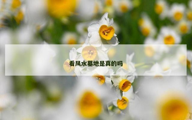 看风水墓地是真的吗