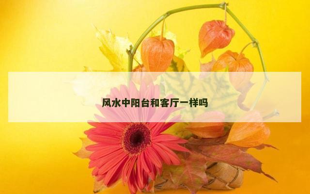 风水中阳台和客厅一样吗