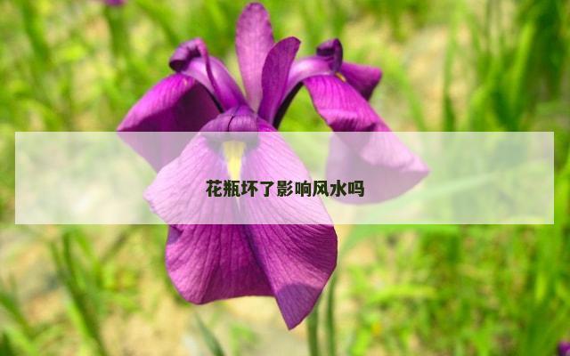 花瓶坏了影响风水吗