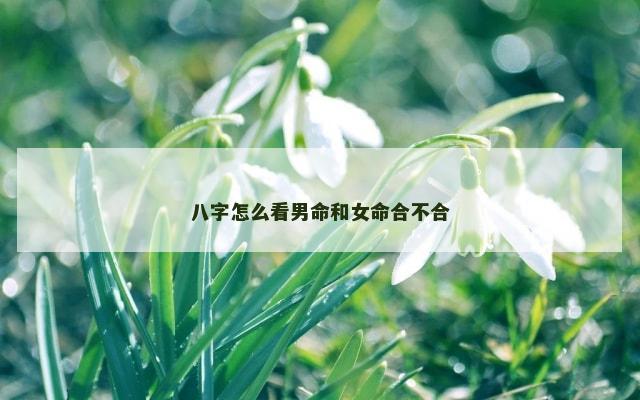 八字怎么看男命和女命合不合