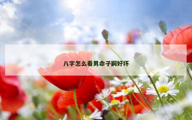 八字怎么看男命子嗣好坏