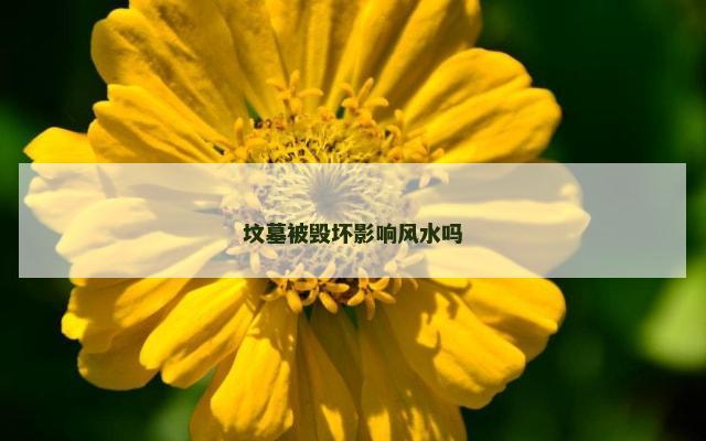 坟墓被毁坏影响风水吗