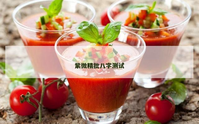 紫微精批八字测试