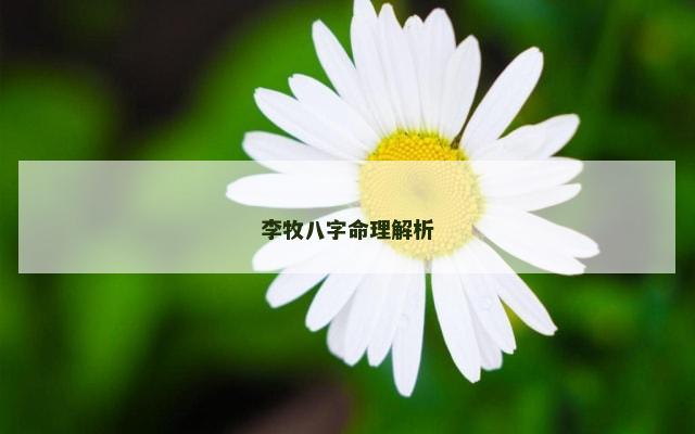 李牧八字命理解析