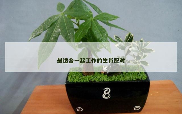 最适合一起工作的生肖配对