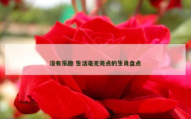 没有乐趣 生活毫无亮点的生肖盘点