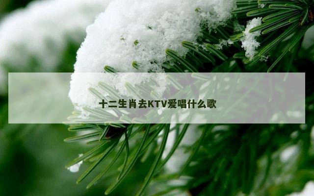 十二生肖去KTV爱唱什么歌