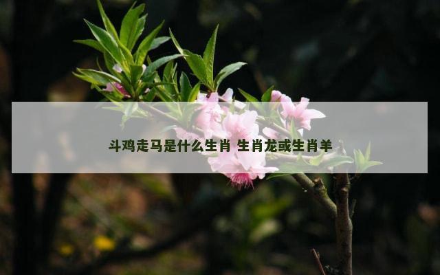 斗鸡走马是什么生肖 生肖龙或生肖羊