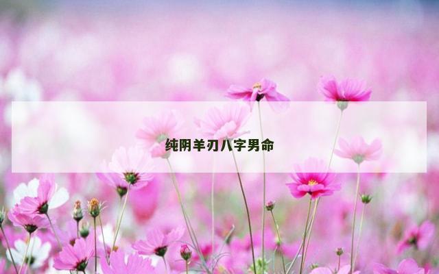 纯阴羊刃八字男命