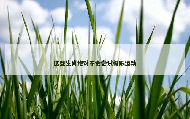这些生肖绝对不会尝试极限运动